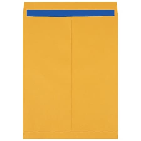 Bsc Preferred 17 x 22'' Kraft Jumbo Envelopes, 100PK BUY00018843